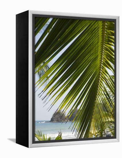 Palm Leaf, Nicoya Pennisula, Costa Rica, Central America-R H Productions-Framed Premier Image Canvas