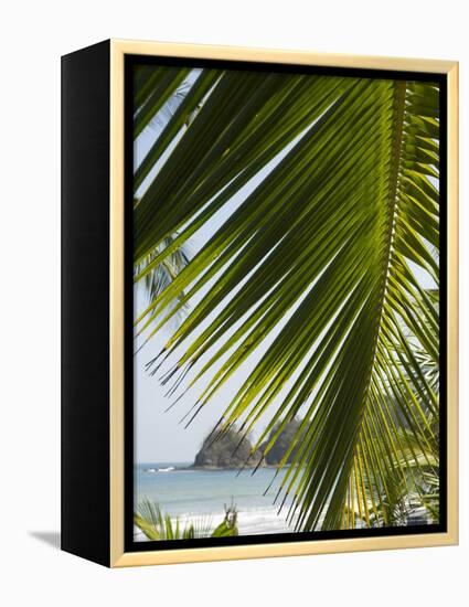 Palm Leaf, Nicoya Pennisula, Costa Rica, Central America-R H Productions-Framed Premier Image Canvas