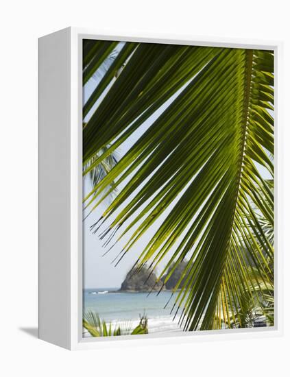 Palm Leaf, Nicoya Pennisula, Costa Rica, Central America-R H Productions-Framed Premier Image Canvas