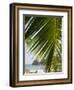 Palm Leaf, Nicoya Pennisula, Costa Rica, Central America-R H Productions-Framed Photographic Print