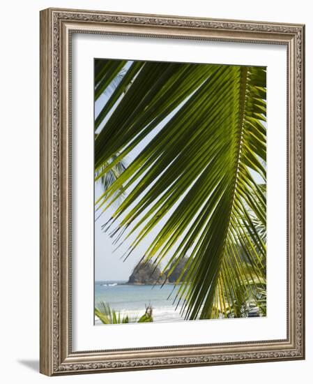 Palm Leaf, Nicoya Pennisula, Costa Rica, Central America-R H Productions-Framed Photographic Print