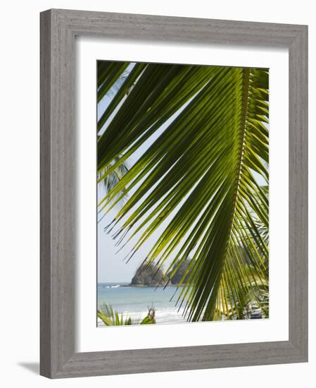 Palm Leaf, Nicoya Pennisula, Costa Rica, Central America-R H Productions-Framed Photographic Print