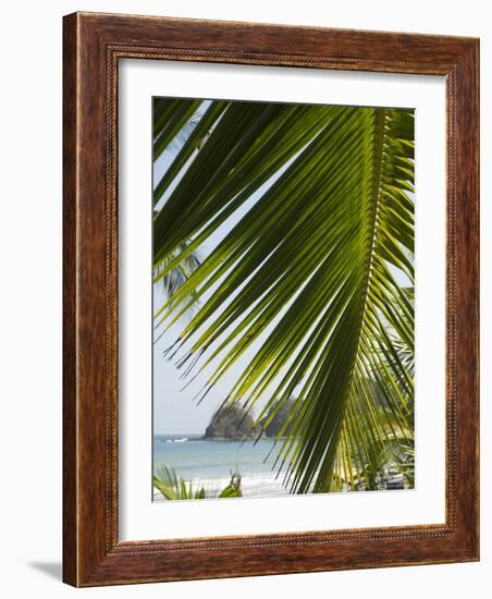 Palm Leaf, Nicoya Pennisula, Costa Rica, Central America-R H Productions-Framed Photographic Print