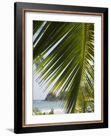 Palm Leaf, Nicoya Pennisula, Costa Rica, Central America-R H Productions-Framed Photographic Print