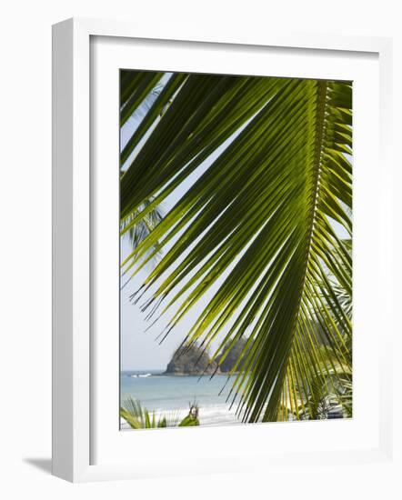 Palm Leaf, Nicoya Pennisula, Costa Rica, Central America-R H Productions-Framed Photographic Print