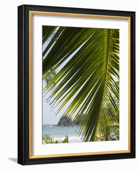 Palm Leaf, Nicoya Pennisula, Costa Rica, Central America-R H Productions-Framed Photographic Print