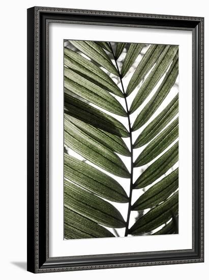 Palm Leaves 24-Mareike Böhmer-Framed Giclee Print