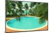 Palm Leaves and Pool - Vintage Retro Style-Mik122-Mounted Photographic Print