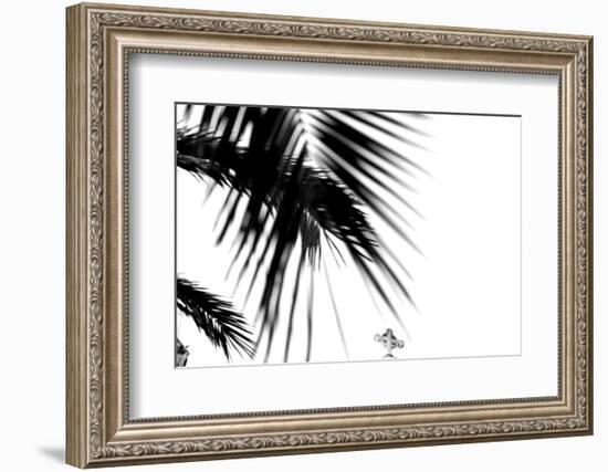 Palm Leaves, Cross, B/W-Nikky-Framed Photographic Print