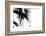 Palm Leaves, Cross, B/W-Nikky-Framed Photographic Print