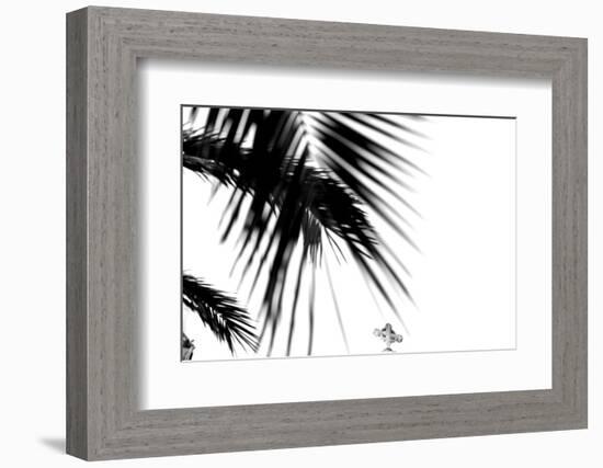 Palm Leaves, Cross, B/W-Nikky-Framed Photographic Print