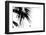 Palm Leaves, Cross, B/W-Nikky-Framed Photographic Print