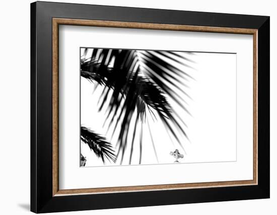 Palm Leaves, Cross, B/W-Nikky-Framed Photographic Print