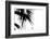 Palm Leaves, Cross, B/W-Nikky-Framed Photographic Print