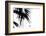 Palm Leaves, Cross, B/W-Nikky-Framed Photographic Print