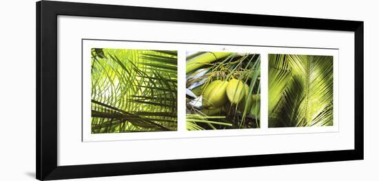 Palm Leaves-Philip Plisson-Framed Art Print