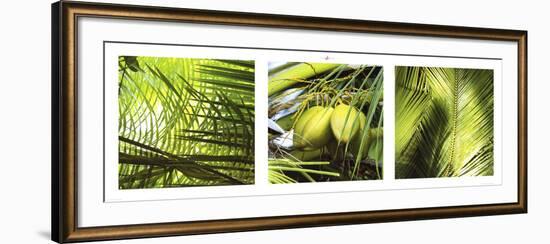 Palm Leaves-Philip Plisson-Framed Art Print