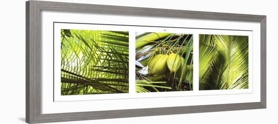 Palm Leaves-Philip Plisson-Framed Art Print