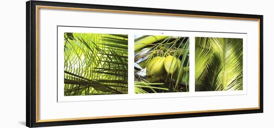 Palm Leaves-Philip Plisson-Framed Art Print