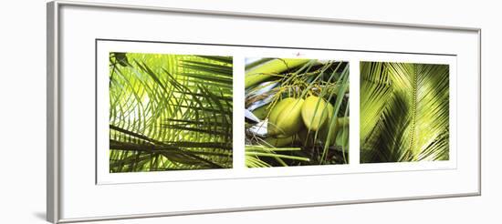 Palm Leaves-Philip Plisson-Framed Art Print