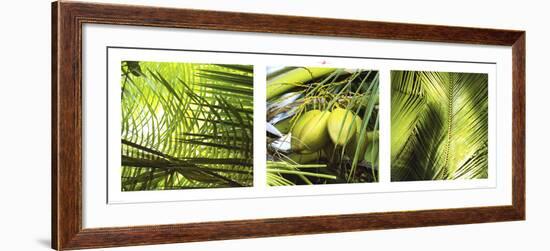 Palm Leaves-Philip Plisson-Framed Art Print