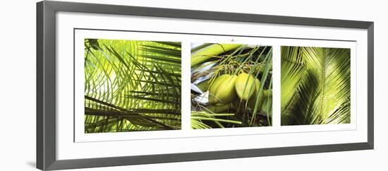 Palm Leaves-Philip Plisson-Framed Art Print