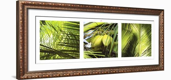 Palm Leaves-Philip Plisson-Framed Art Print