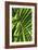 Palm Leaves-Dr. Keith Wheeler-Framed Photographic Print