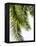 Palm Leaves-Lexie Greer-Framed Premier Image Canvas