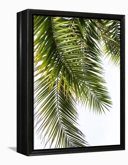 Palm Leaves-Lexie Greer-Framed Premier Image Canvas