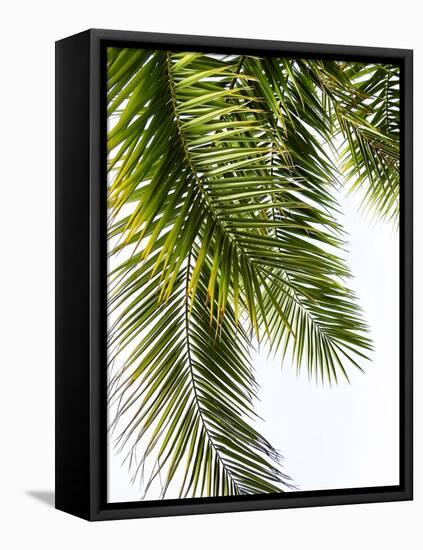 Palm Leaves-Lexie Greer-Framed Premier Image Canvas