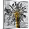 Palm Leaves-PI Studio-Mounted Art Print