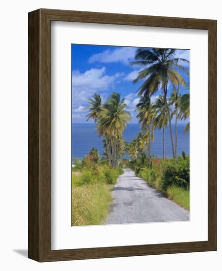 Palm Lined Road to Bathsheba, Barbados, West Indies, Caribbean, Central America-Gavin Hellier-Framed Photographic Print