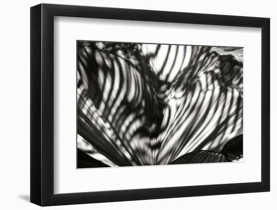 Palm of Shadows-Alan Hausenflock-Framed Photographic Print