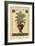 Palm of the Islands II-Pizetta-Framed Art Print