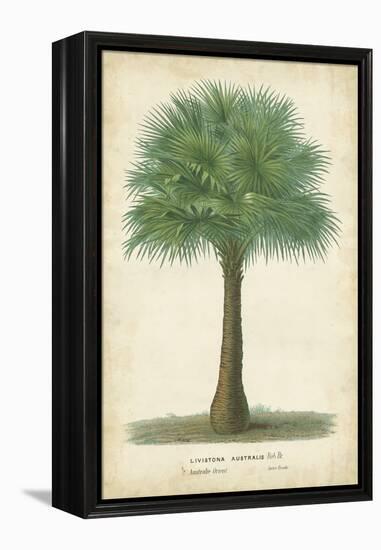 Palm of the Tropics I-Horto Van Houtteano-Framed Stretched Canvas