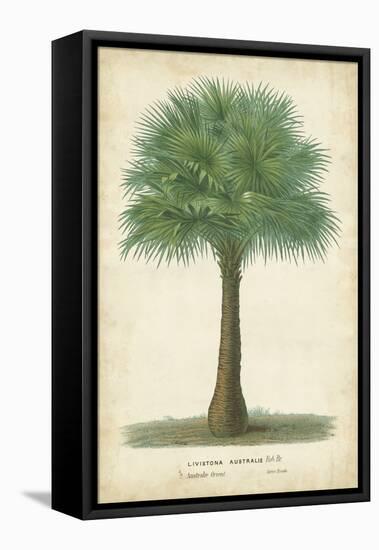 Palm of the Tropics I-Horto Van Houtteano-Framed Stretched Canvas