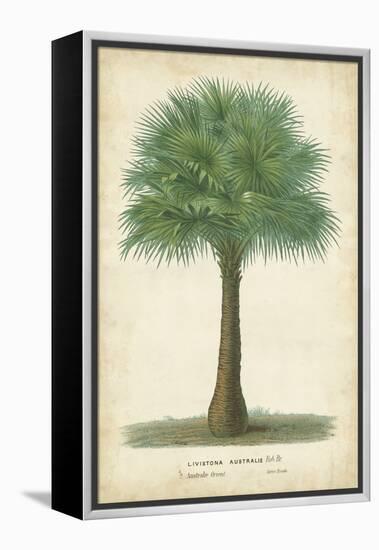 Palm of the Tropics I-Horto Van Houtteano-Framed Stretched Canvas