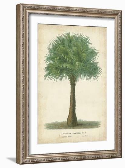 Palm of the Tropics I-Horto Van Houtteano-Framed Premium Giclee Print