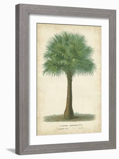 Palm of the Tropics I-Horto Van Houtteano-Framed Premium Giclee Print