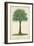 Palm of the Tropics I-Horto Van Houtteano-Framed Premium Giclee Print