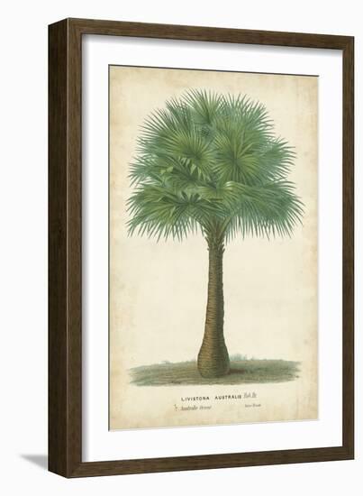 Palm of the Tropics I-Horto Van Houtteano-Framed Premium Giclee Print