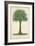 Palm of the Tropics I-Horto Van Houtteano-Framed Premium Giclee Print