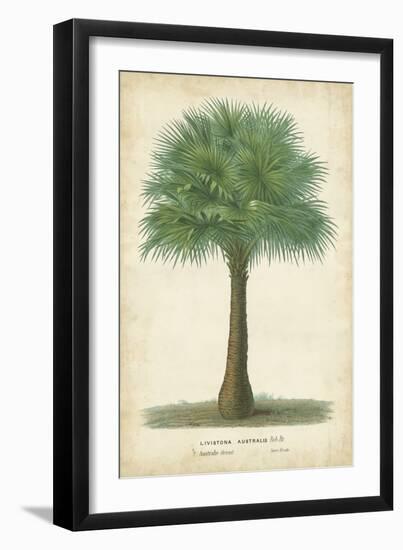 Palm of the Tropics I-Horto Van Houtteano-Framed Premium Giclee Print