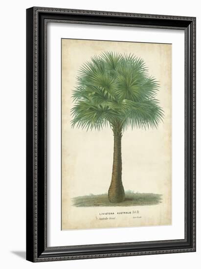 Palm of the Tropics I-Horto Van Houtteano-Framed Premium Giclee Print