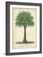 Palm of the Tropics I-Horto Van Houtteano-Framed Art Print