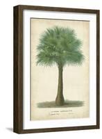 Palm of the Tropics I-Horto Van Houtteano-Framed Art Print