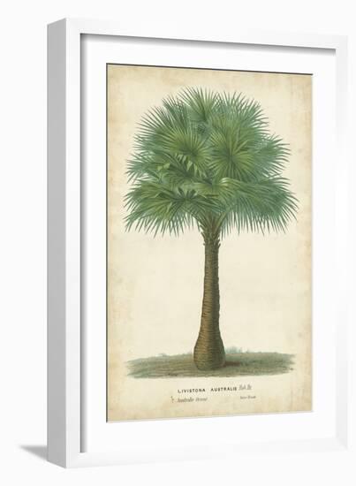 Palm of the Tropics I-Horto Van Houtteano-Framed Art Print