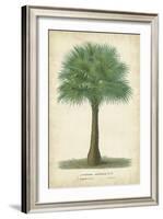 Palm of the Tropics I-Horto Van Houtteano-Framed Art Print