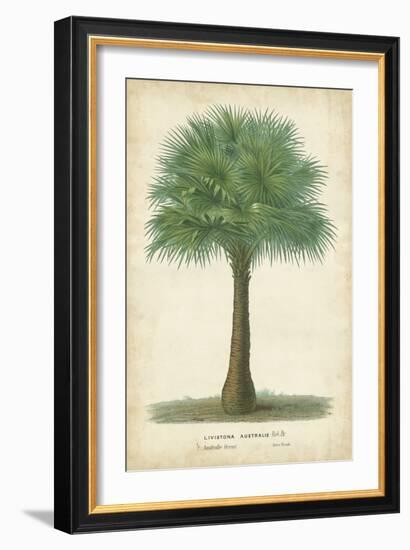 Palm of the Tropics I-Horto Van Houtteano-Framed Art Print